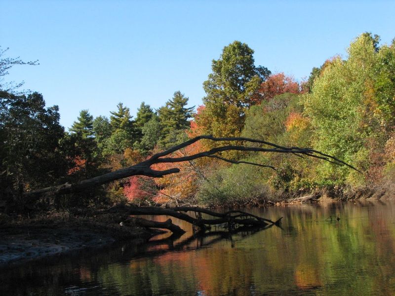 Patterns in the Reports