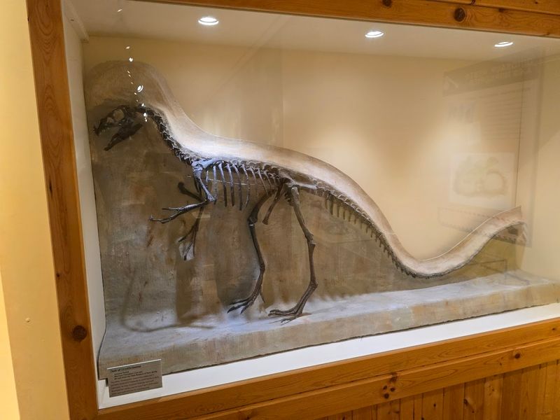 Geological Specimens and the Science Side of Things