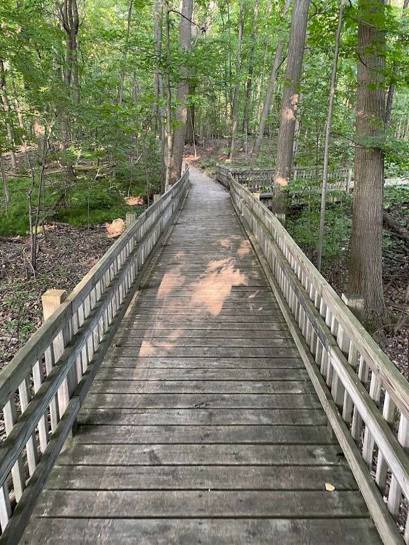 Where to Find This Hidden Natural Treasure