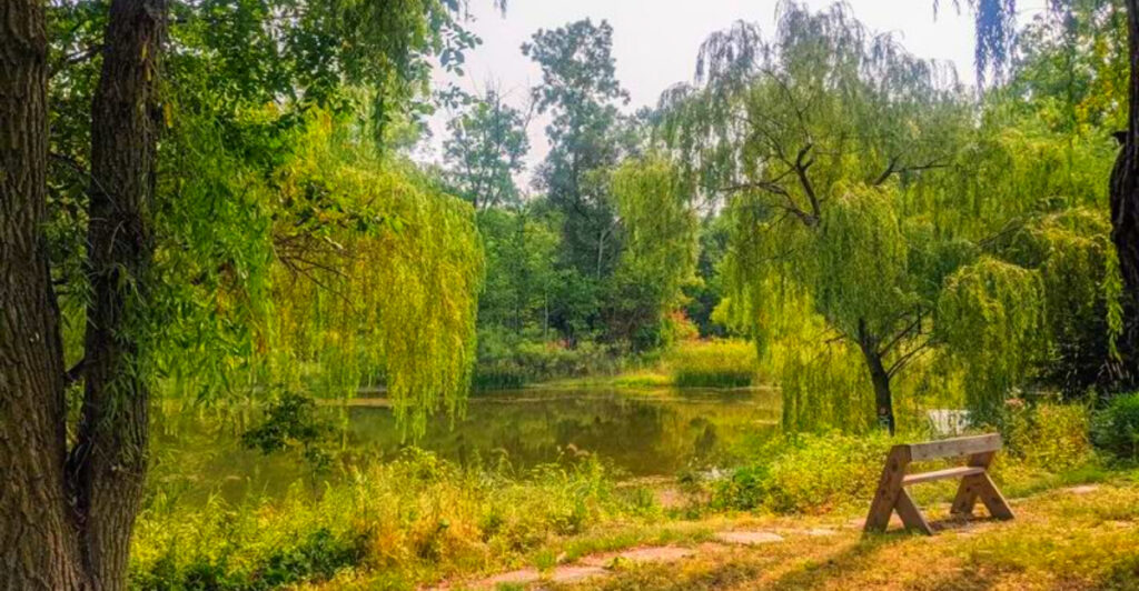 Native Prairie and Wetland Trails Just 10 Minutes from Downtown