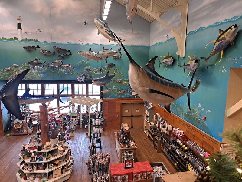 Fishing Gear for Every Level of Angler