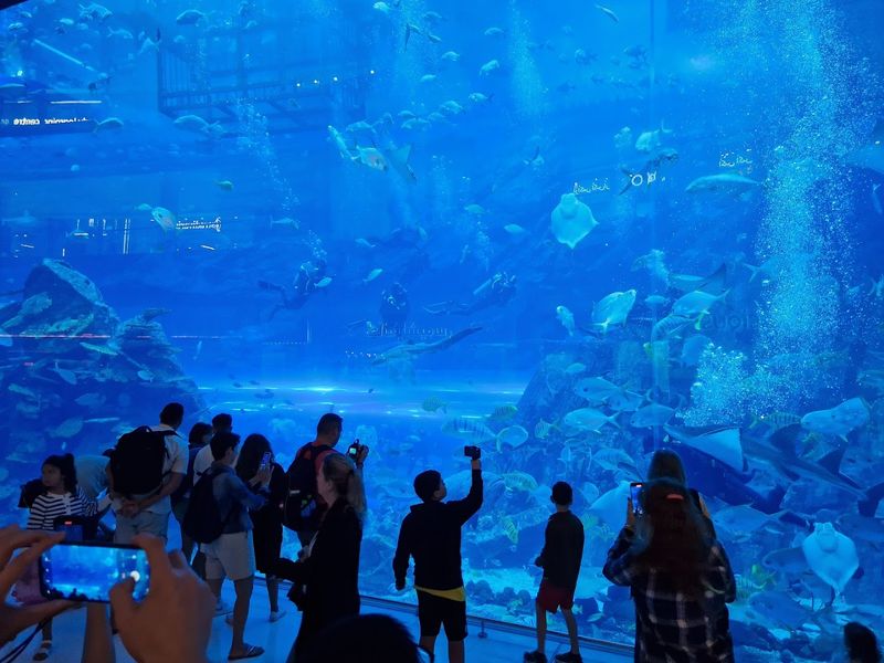Dubai Aquarium & Underwater Zoo, UAE