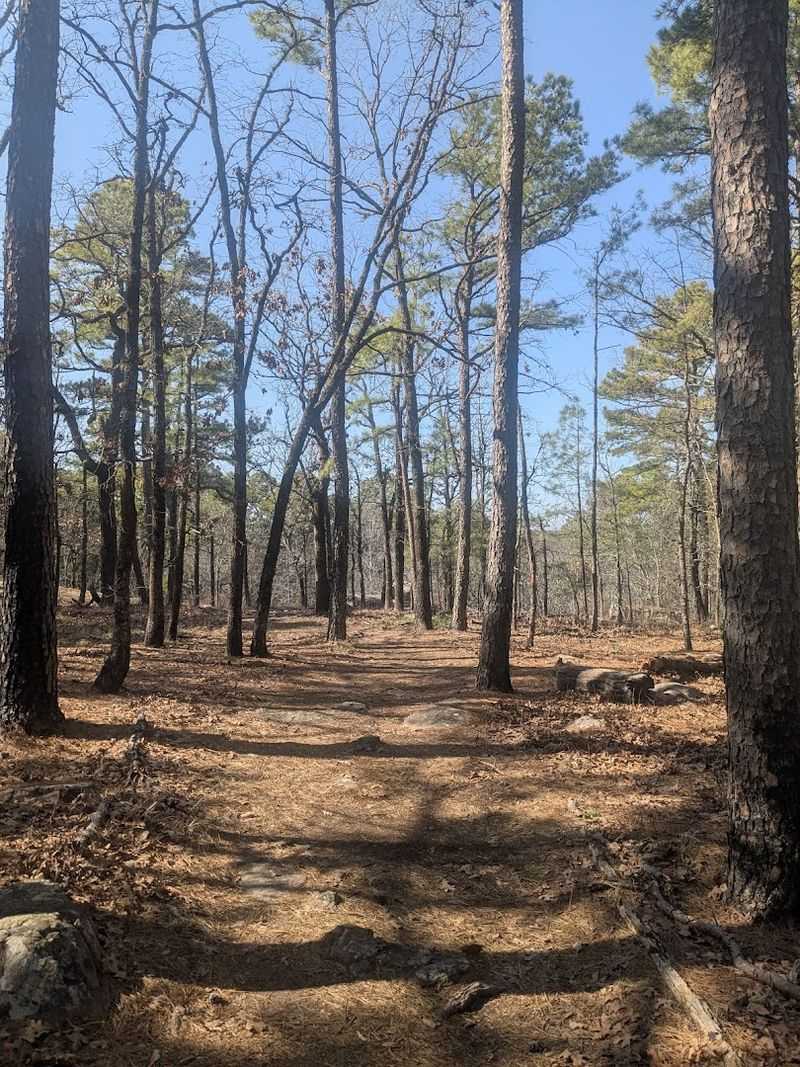 Best Times to Visit and What to Bring