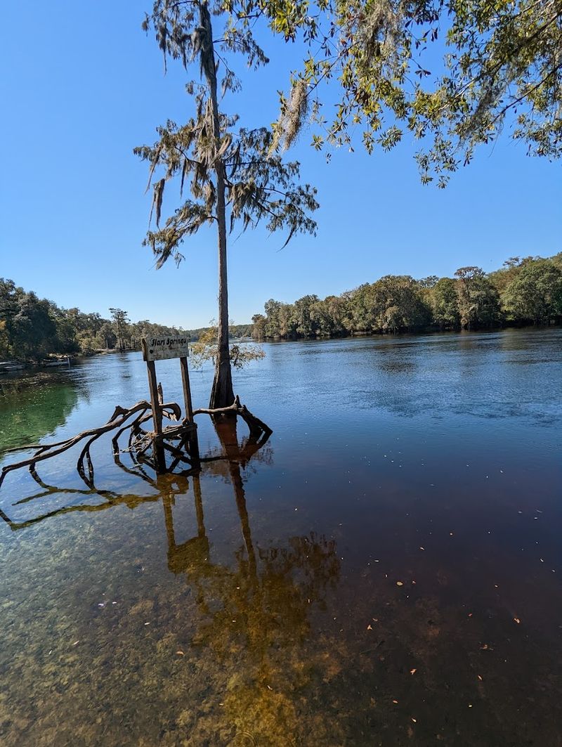 Best Time to Visit and Seasonal Tips