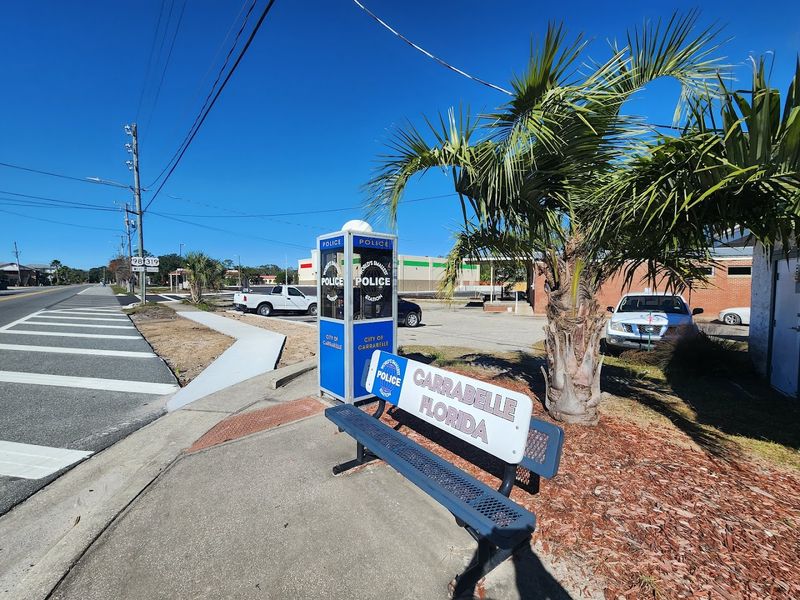 Best Times to Visit and Practical Tips