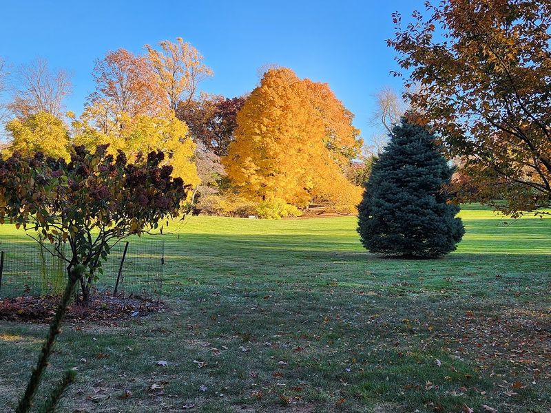 Picnic Spots Spread Generously Across the Grounds