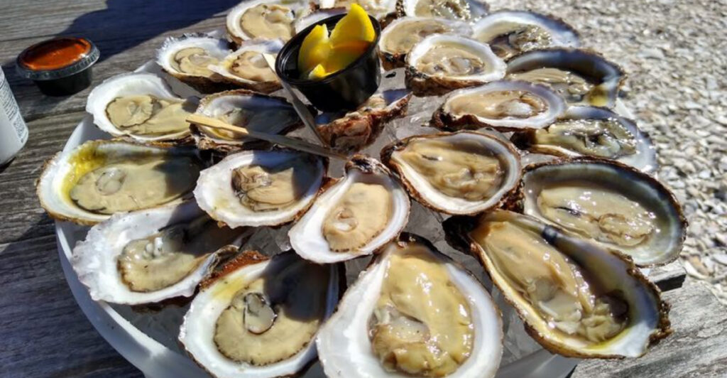 New Jersey’s Best-Kept Oyster Secret Is a Dockside Raw Bar Locals Swear By