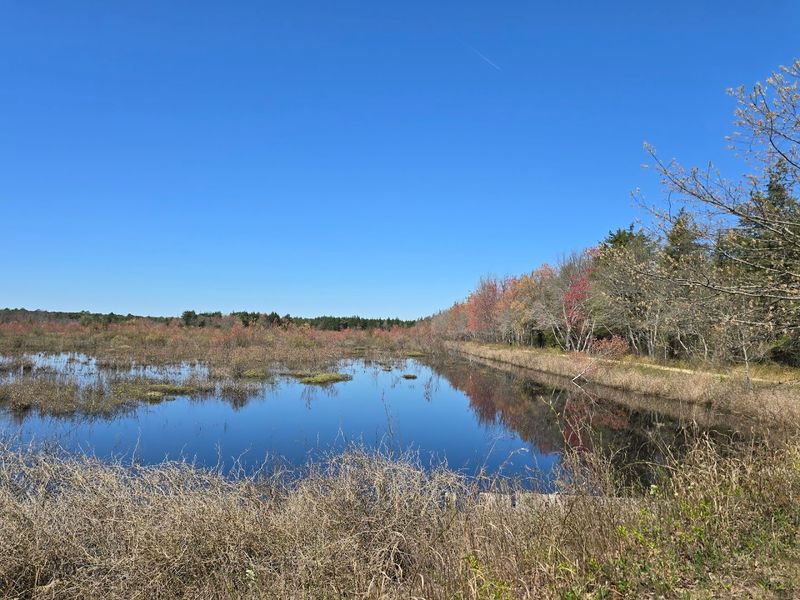 Where Exactly This Park Sits