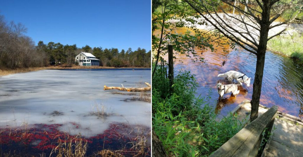 New Jersey’s Most Surprising Escape Is a Secret State Park Tucked in Plain Sight
