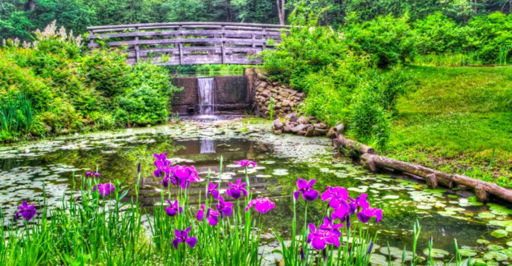 New Jersey’s Secret Rock Gorge Garden That Explodes With Spring Color