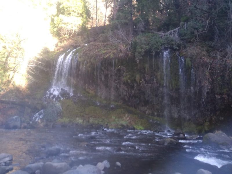 Dunsmuir, California