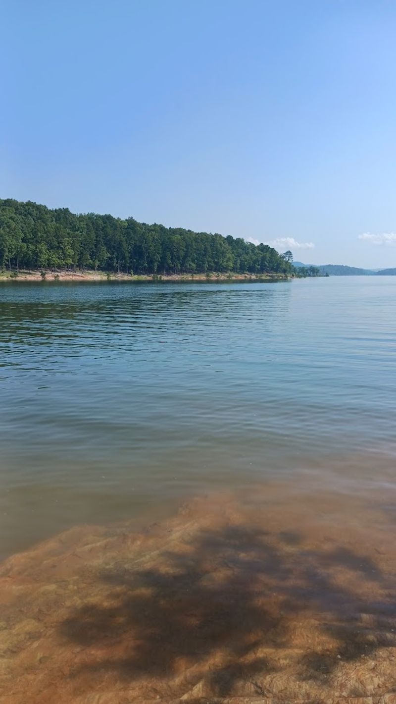 What Makes the Water So Unusually Clear