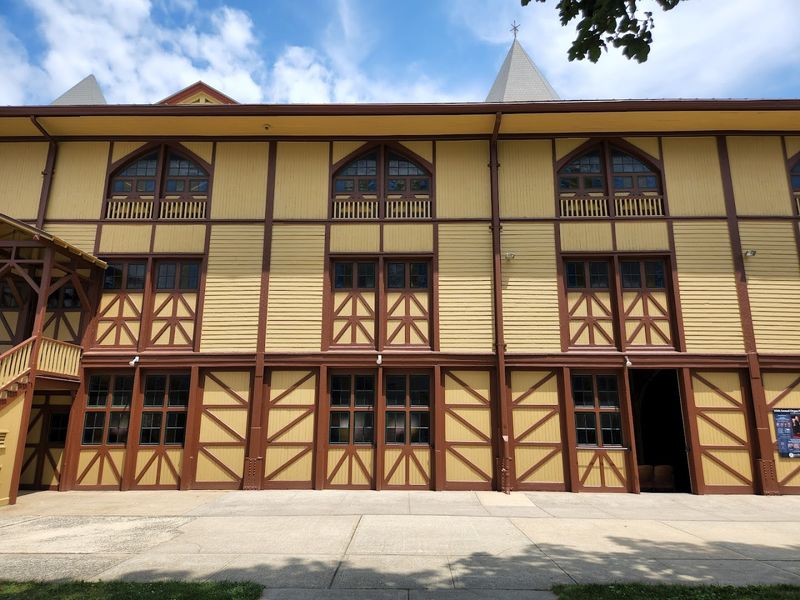 A Starring Role in Woody Allen's Film