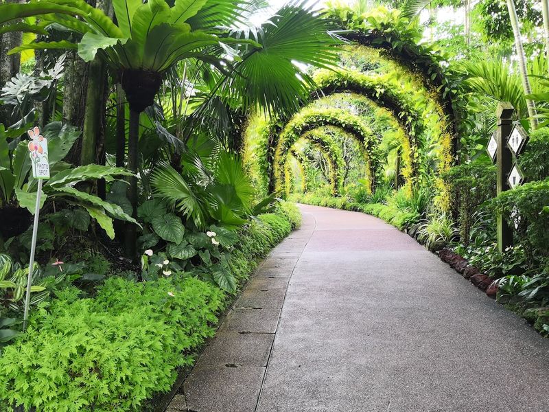 Singapore Botanic Gardens — Singapore