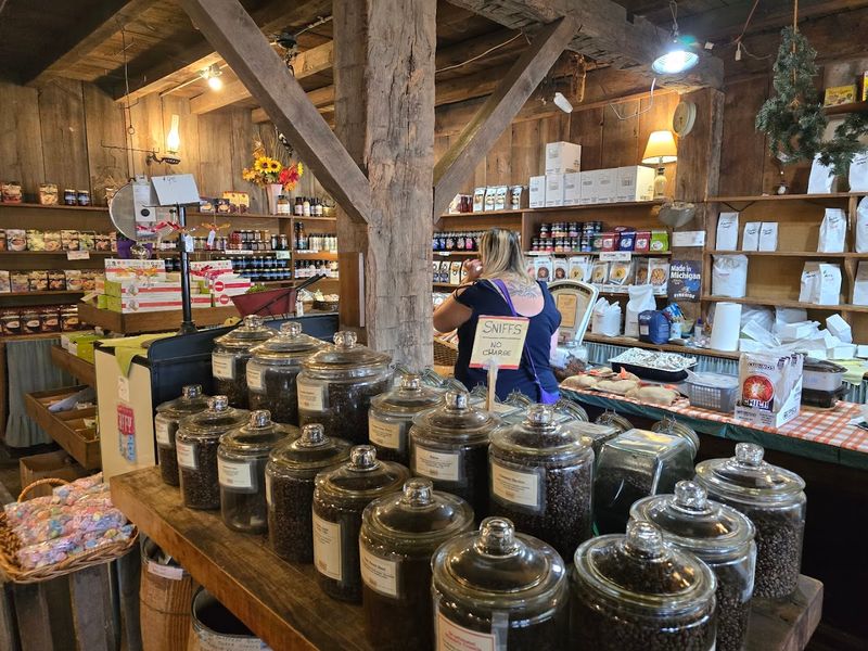 Why I Would Go Back Again