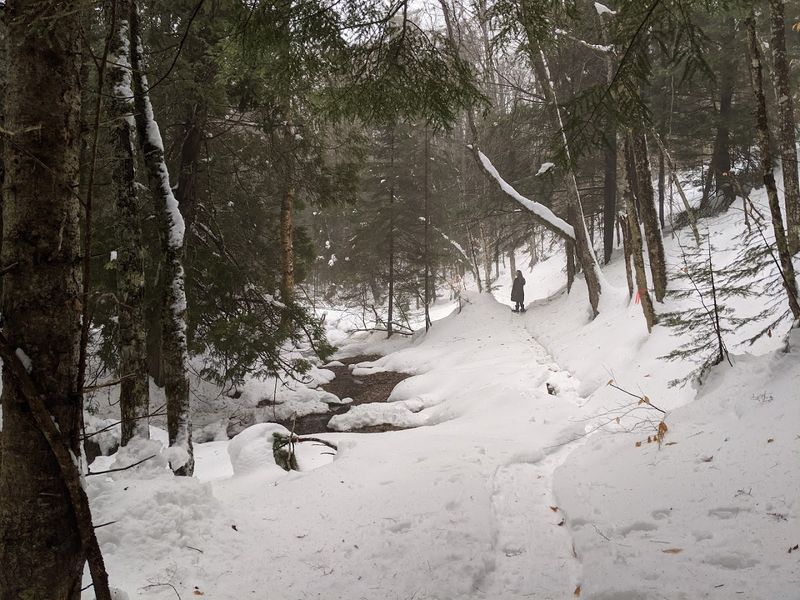 Why I would go back after the next snowfall