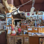 Nothing Inside This Oklahoma Museum Makes Sense and That Is Why It Is Viral