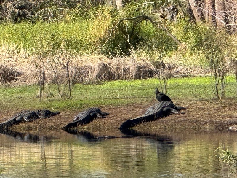 Myakka River State Park