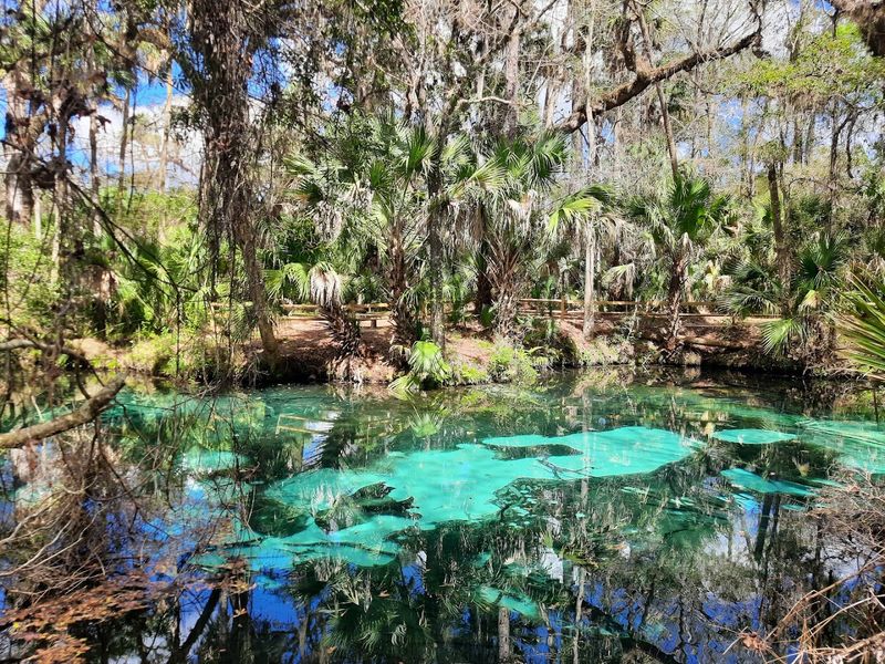 Juniper Springs Recreation Area
