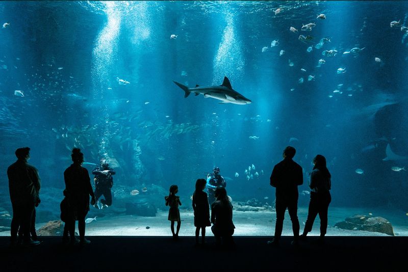 Nausicaá Centre National de la Mer, France