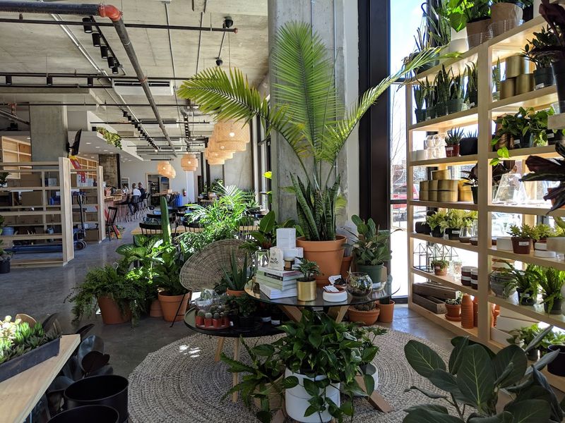 Where the Plants and the Coffee Meet