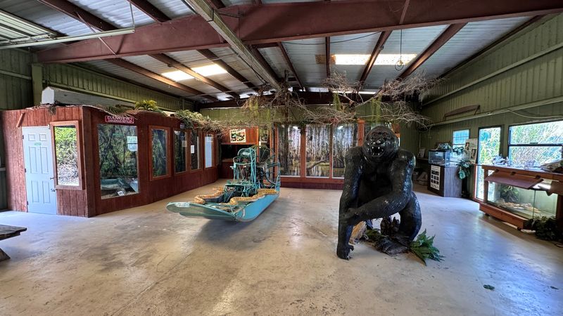 Who Should Actually Visit and Why