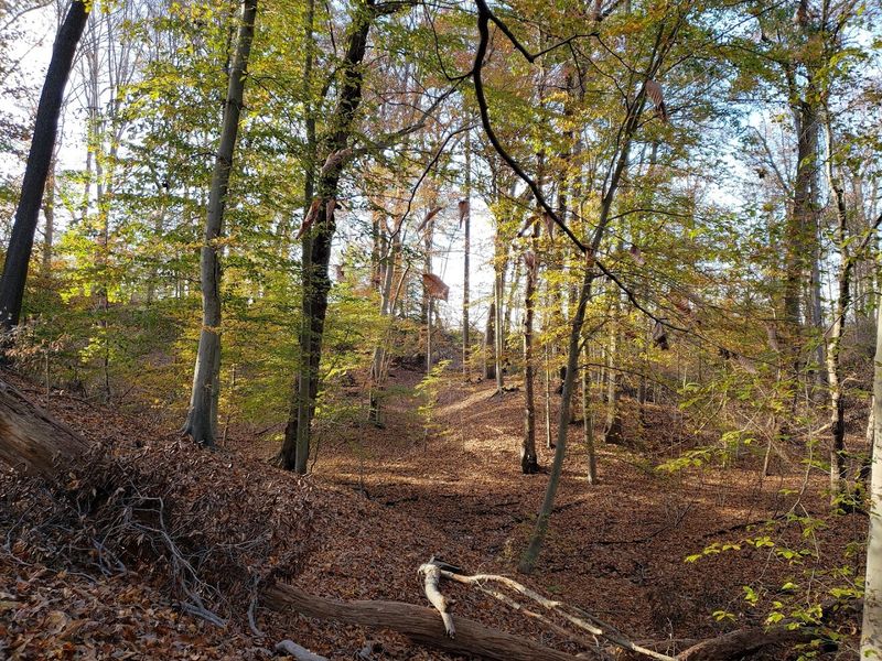 The Elevation Surprise in Flat South Jersey