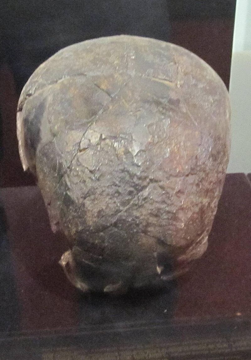 Omo II (Ethiopia) - ~195,000 years old