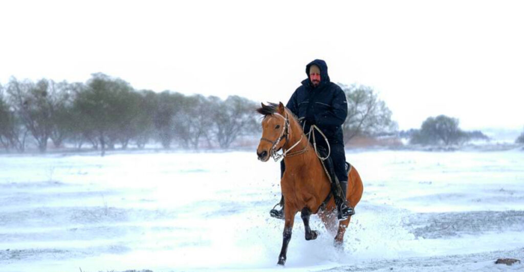 One Michigan Stable Offers Beautiful Winter Trail Rides You Can Still Enjoy This March