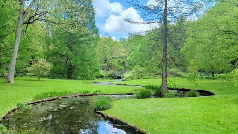 Where Exactly This Hidden Preserve Is Located