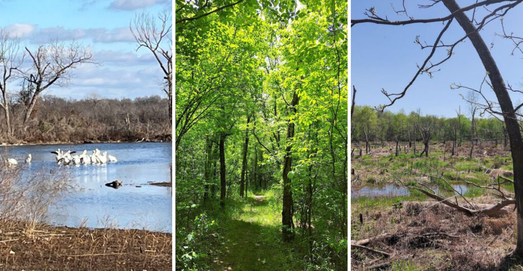One Trail in Oklahoma Feels Like Several Different Places
