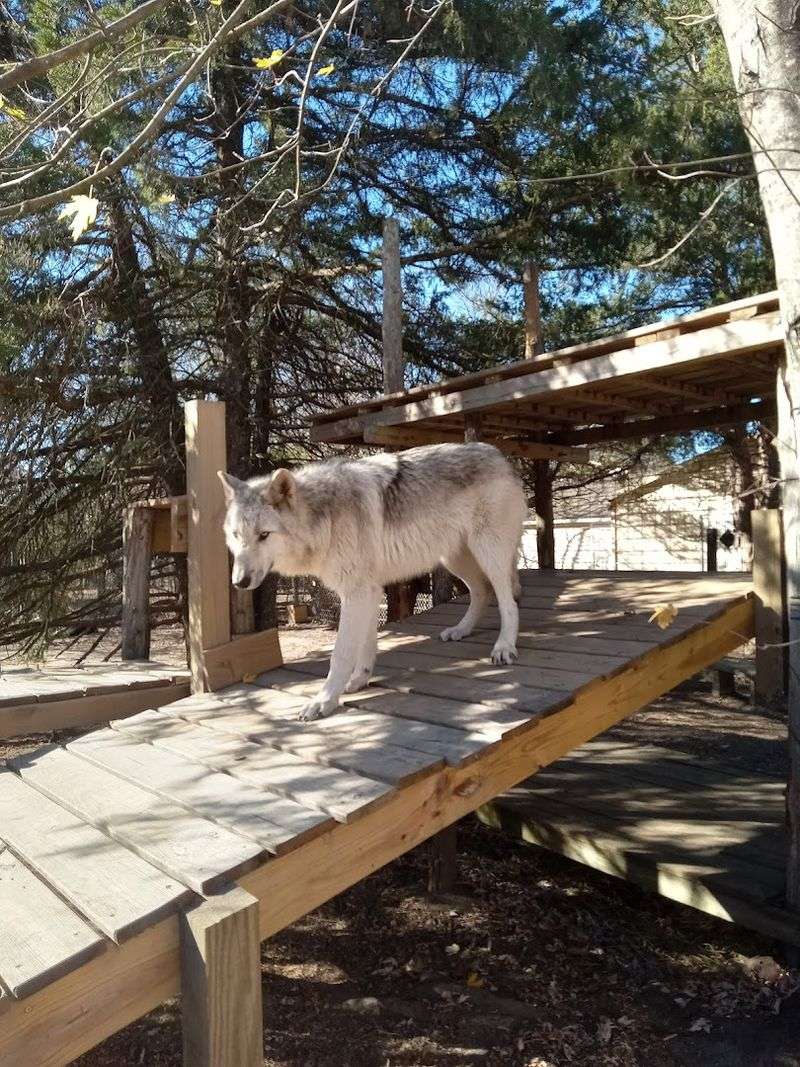 A Hidden Address With a Big Mission