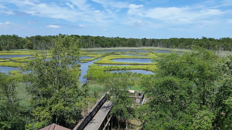 Where It Actually Is