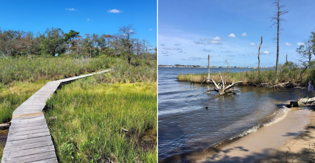 One of New Jersey’s Quietest Nature Escapes Is Hiding in Toms River