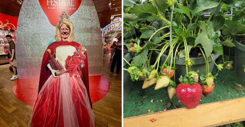 Only 30 Minutes From Tampa, A Strawberry Festival Takes Over an Entire Town