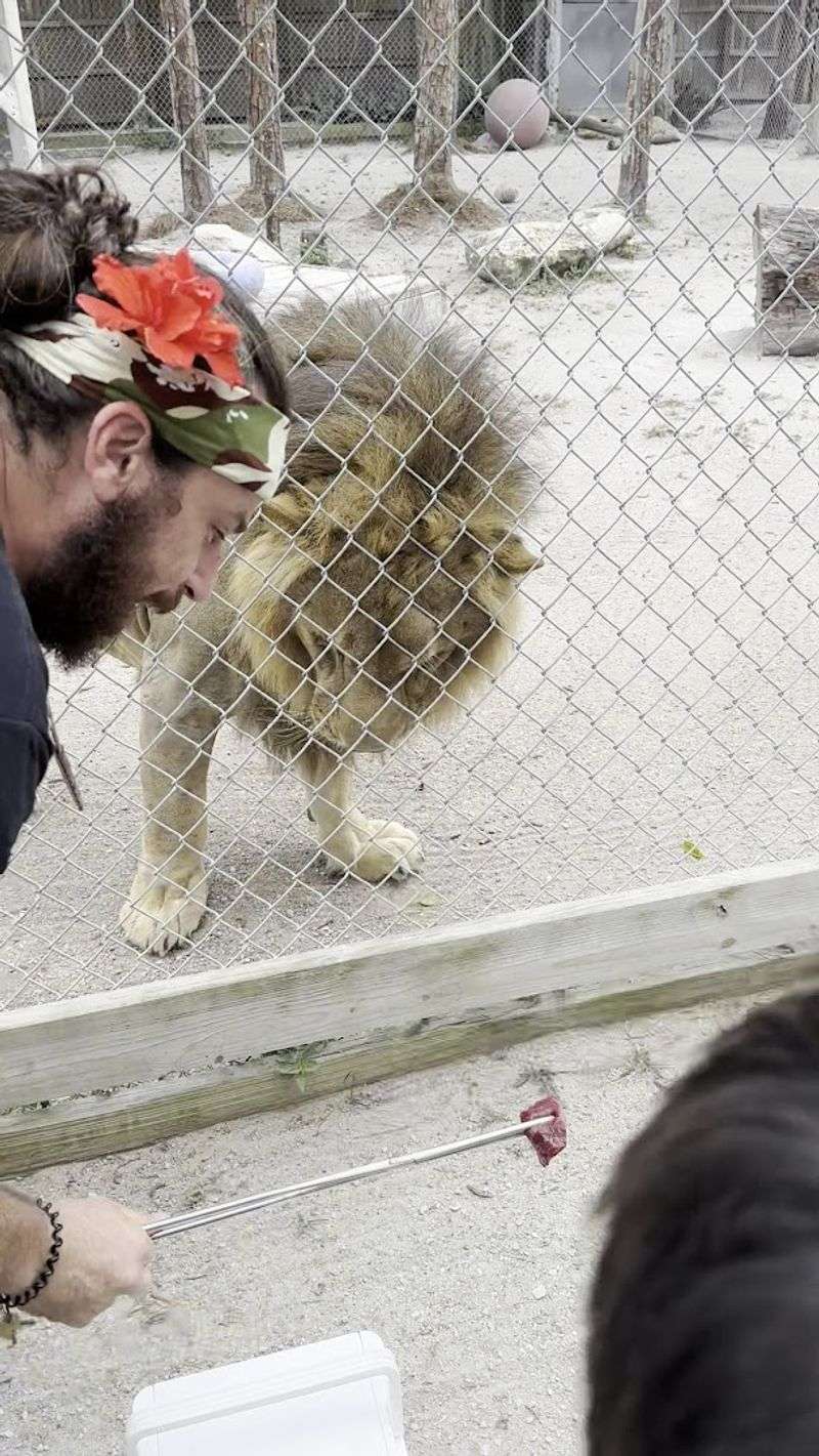 Pricing and Donations: Supporting the Animals With Every Visit