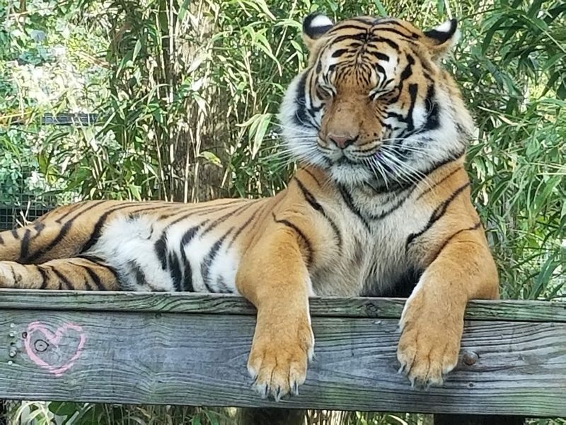 Rare and Exotic Wildlife Around Every Corner