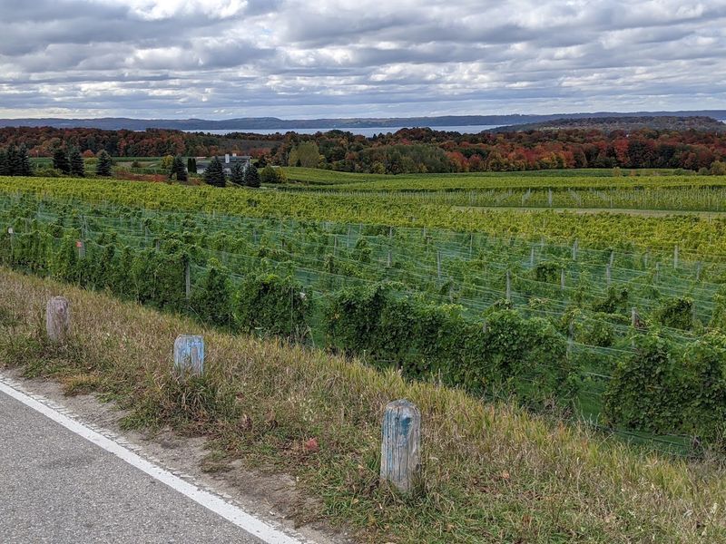 Timing Your Visit Makes a Big Difference