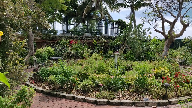 The Open-Air Butterfly Garden