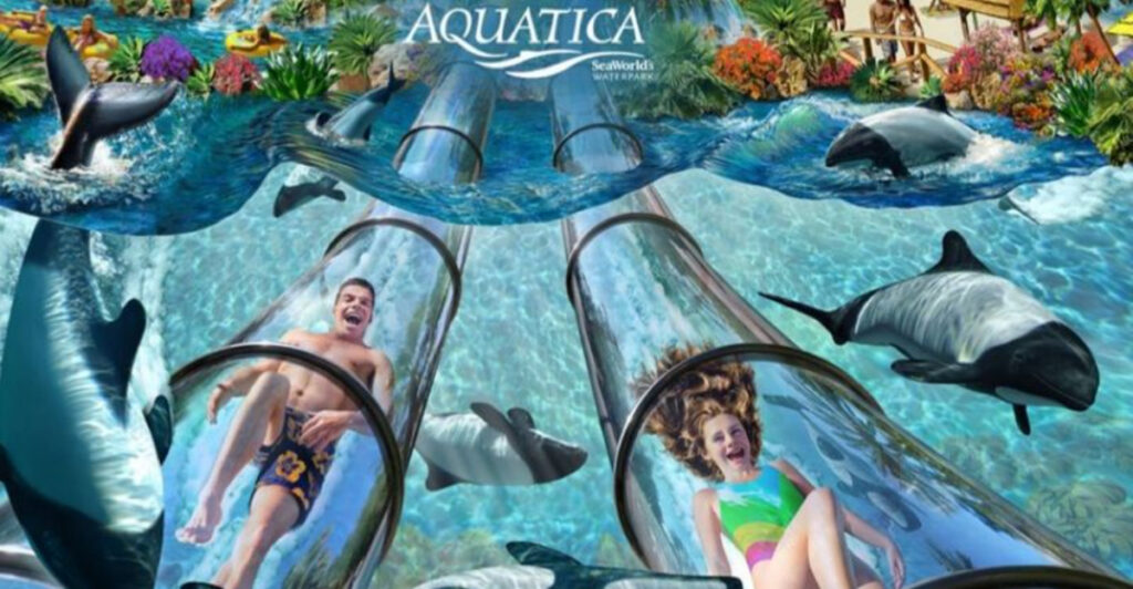 Orlando’s #1 Outdoor Water Park Lets You Plunge Through A Dolphin Habitat (Really!)