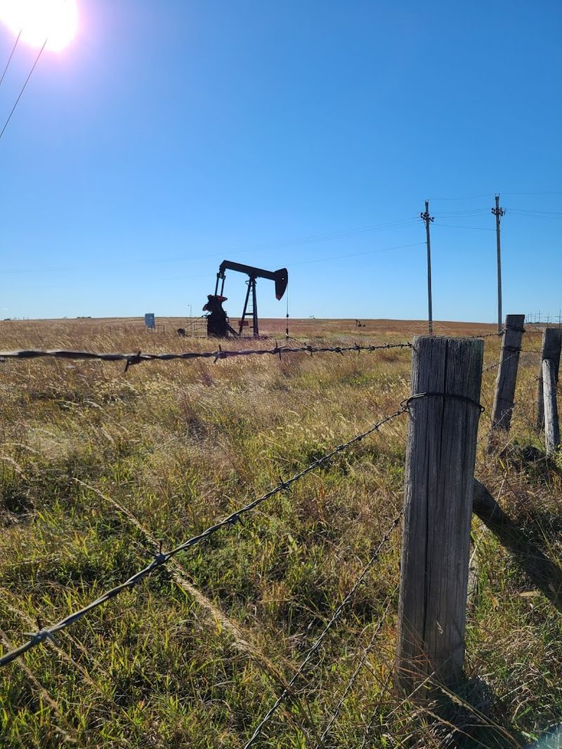 Best Times to Visit and Practical Tips