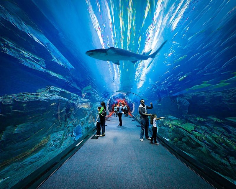 Dubai Aquarium & Underwater Zoo — Dubai, UAE