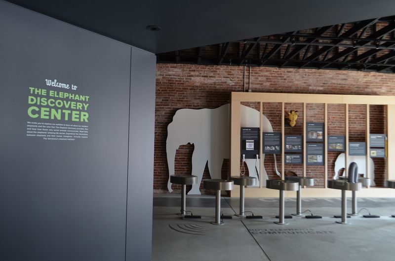 The Elephant Sanctuary — Hohenwald, Tennessee