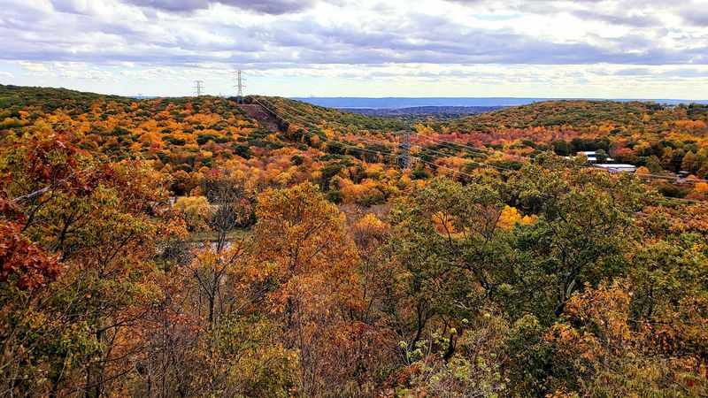 Best Times of Year to Visit