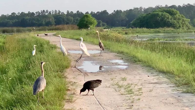 Practical Tips for Your First Visit