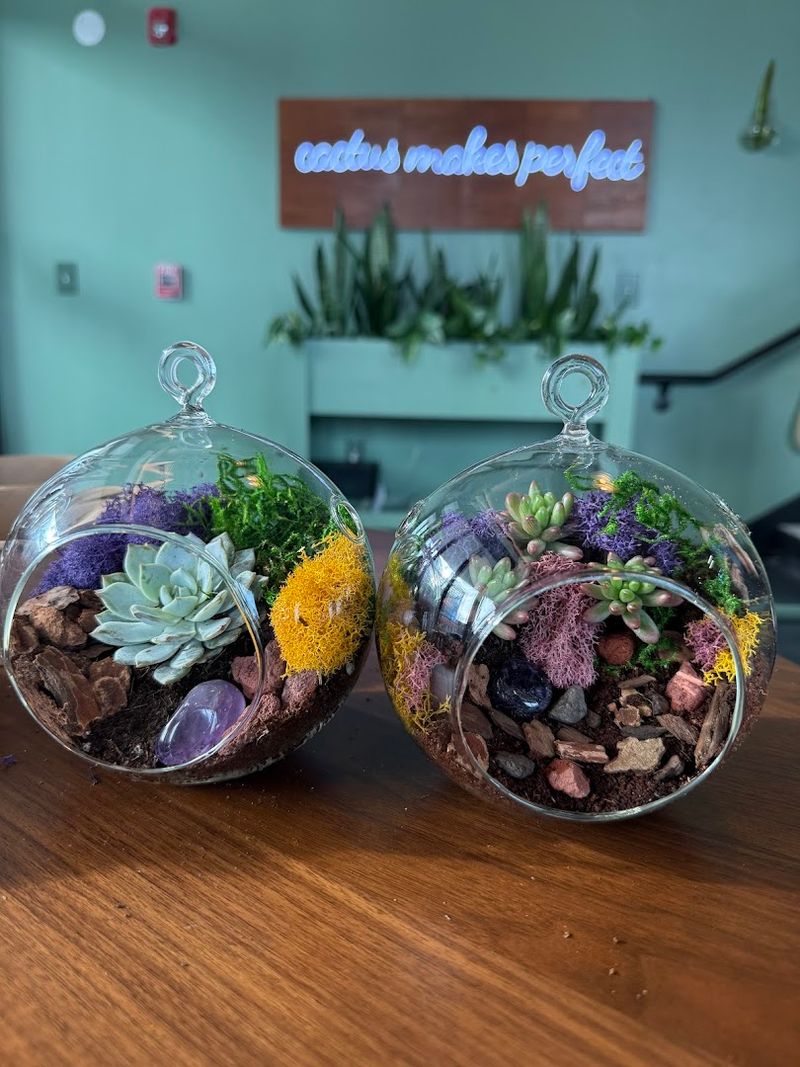 Fern & Fossil (Newark)