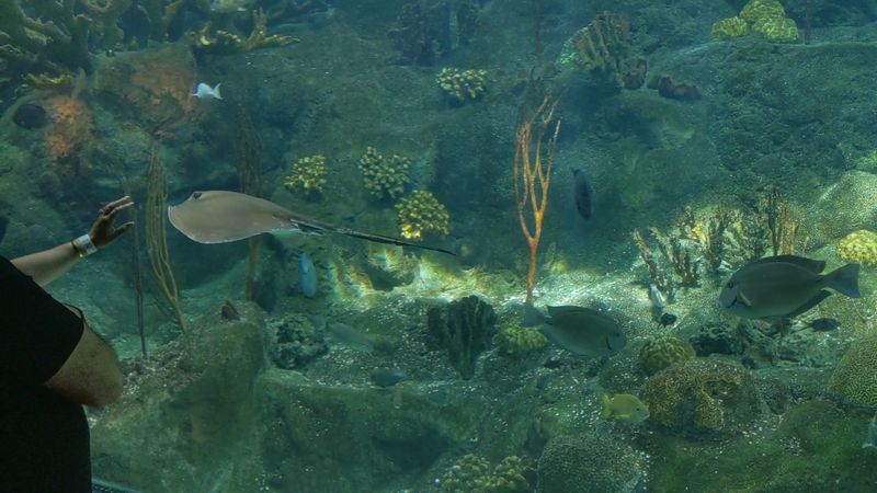 Staff and Education: The People Who Make It Special