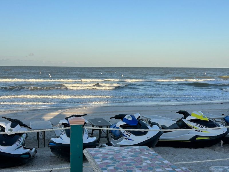 The Dolphin Tours That Launch Right From Here