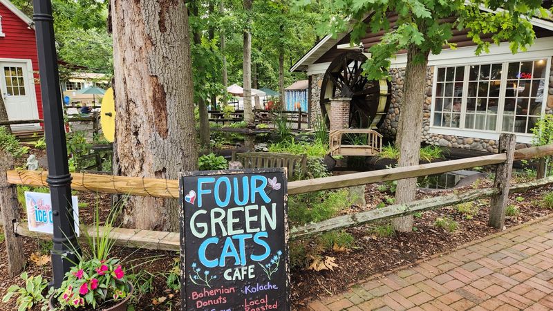 TikTok Fame and the Busy Day Reality