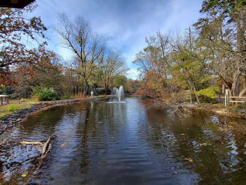 A Splash Pad Right Next Door